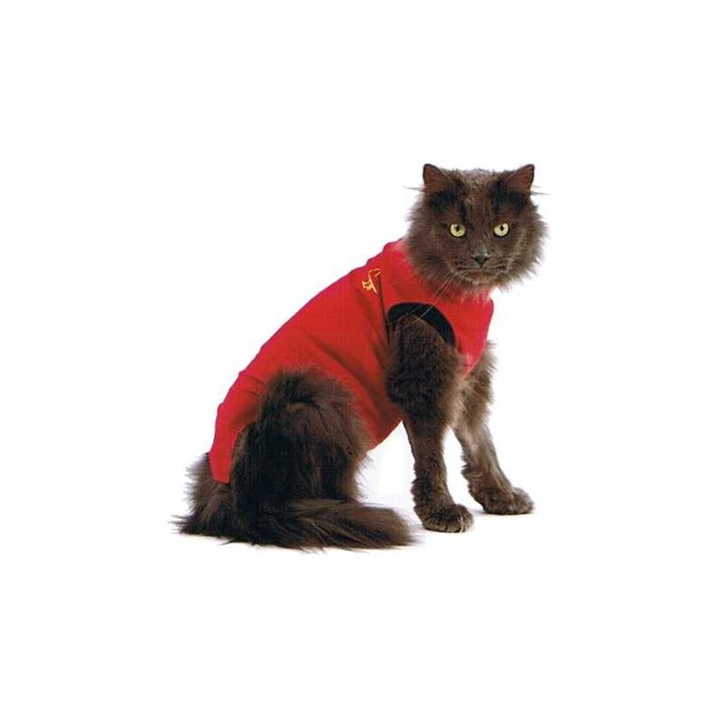 Geit Eenheid voorspelling Medical Pet Shirt™ - beschermend shirt voor kat - MPS / Direct-Dierenarts