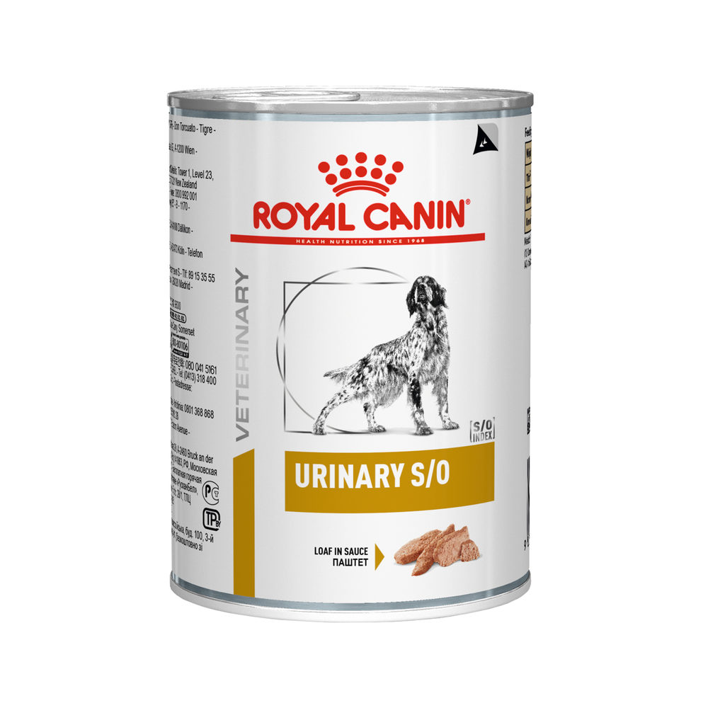 ondernemer voorspelling Gezichtsveld Royal Canin Urinary S/O Hond™ - Voor de behandeling van blaasstenen of  blaasgruis﻿ / Direct-Dierenarts