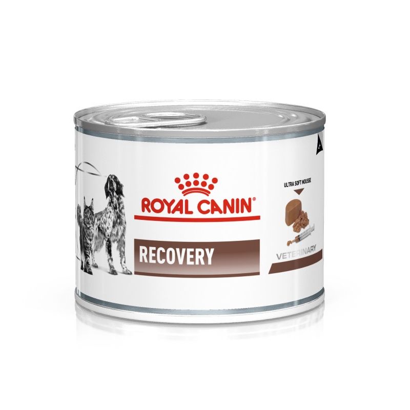 evolutie Rechthoek Karu Royal Canin Recovery™ - Natvoeding voor herstelperiodes / Direct-Dierenarts