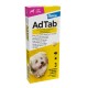 AdTab Hond