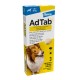 AdTab Hond